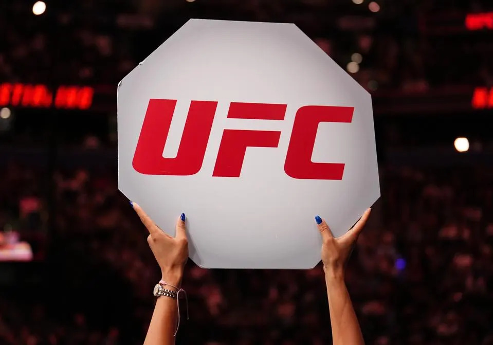 UFC Fight