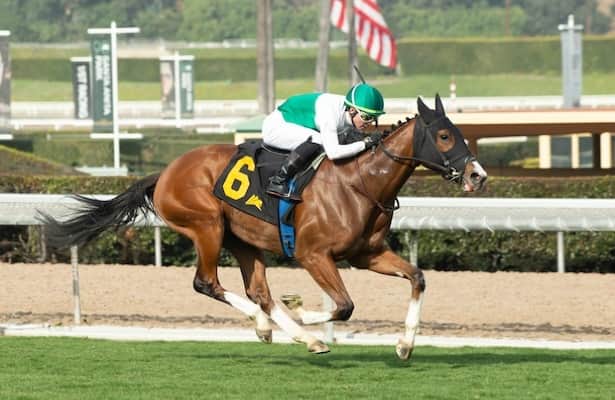 Wilshire Stakes